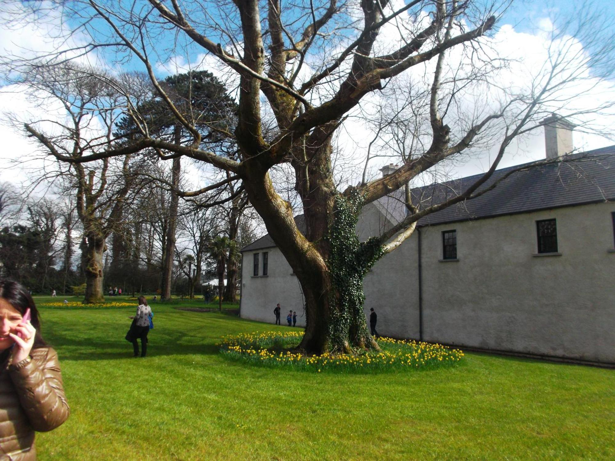 Kerry Holiday Homes At The Killarney Holiday Village Luaran gambar