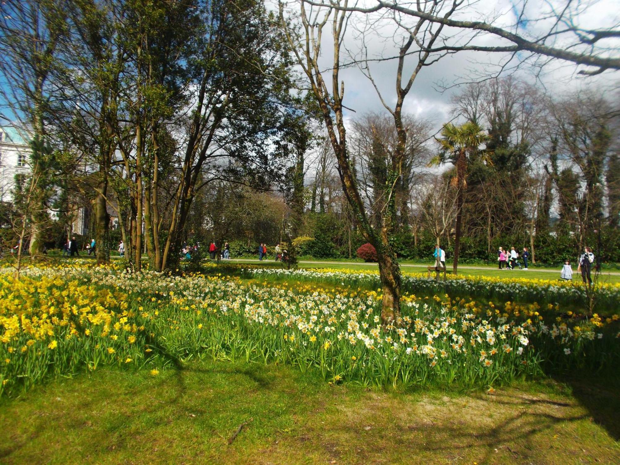 Kerry Holiday Homes At The Killarney Holiday Village Luaran gambar
